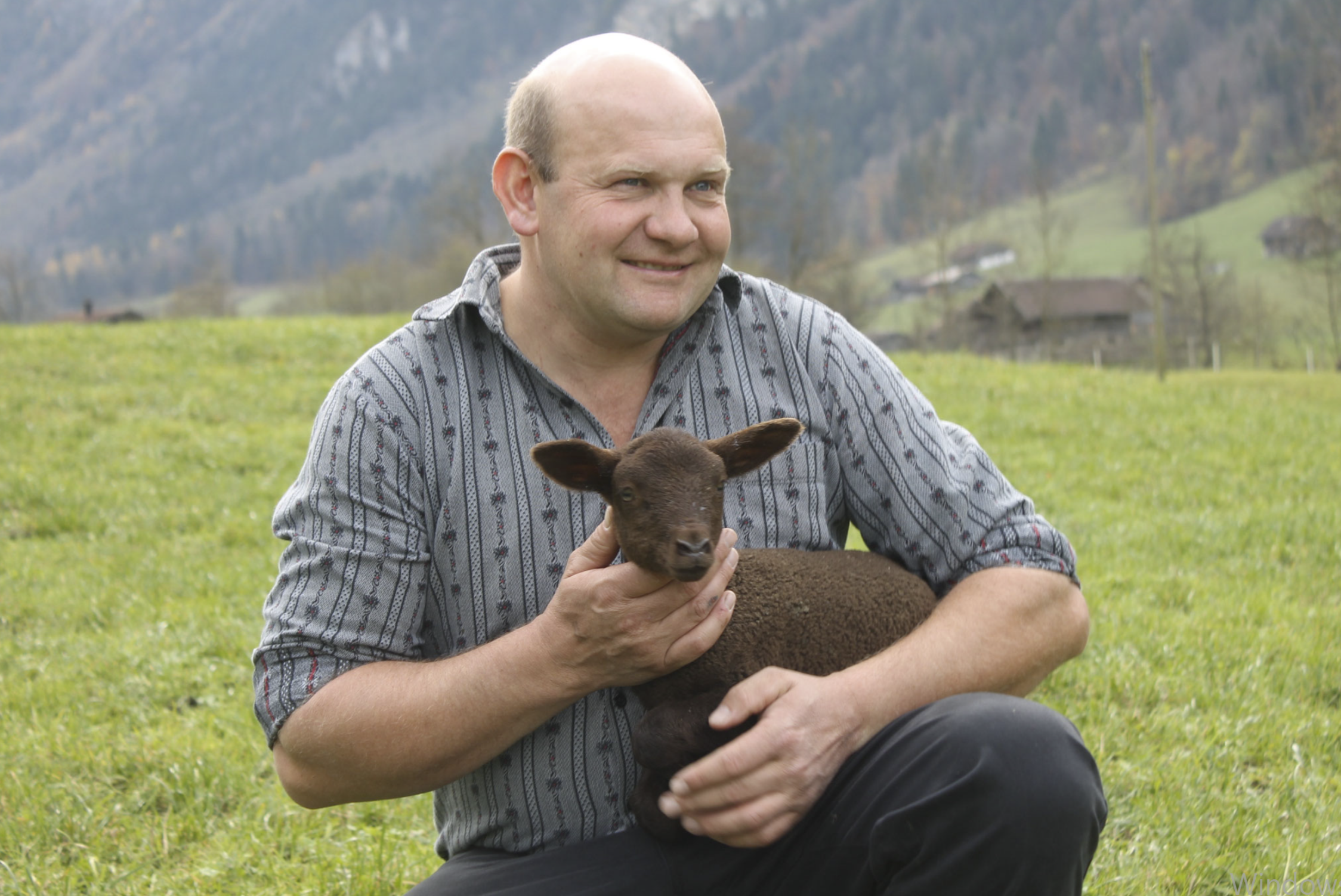 EW_Webseitenbild