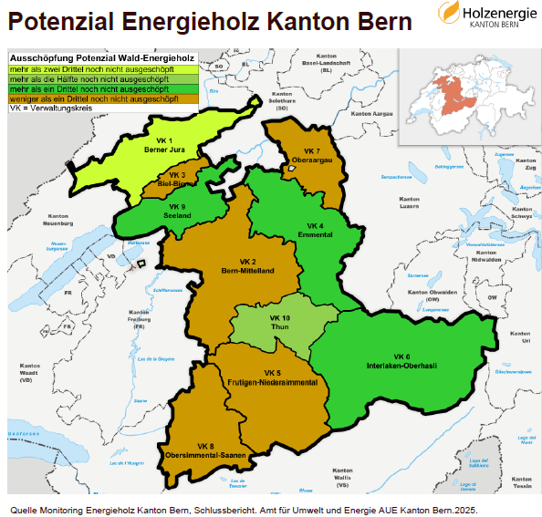 Holzenergie Kanton Bern